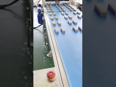 Macchina dell'espulsore di Antivari di data della proteina di Papa High Speed Multi Line